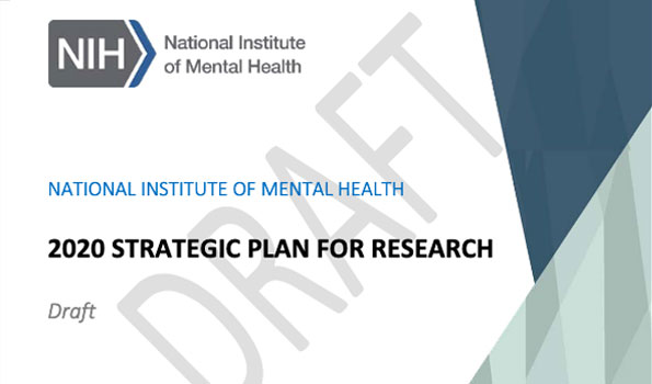 NIH strategic plan