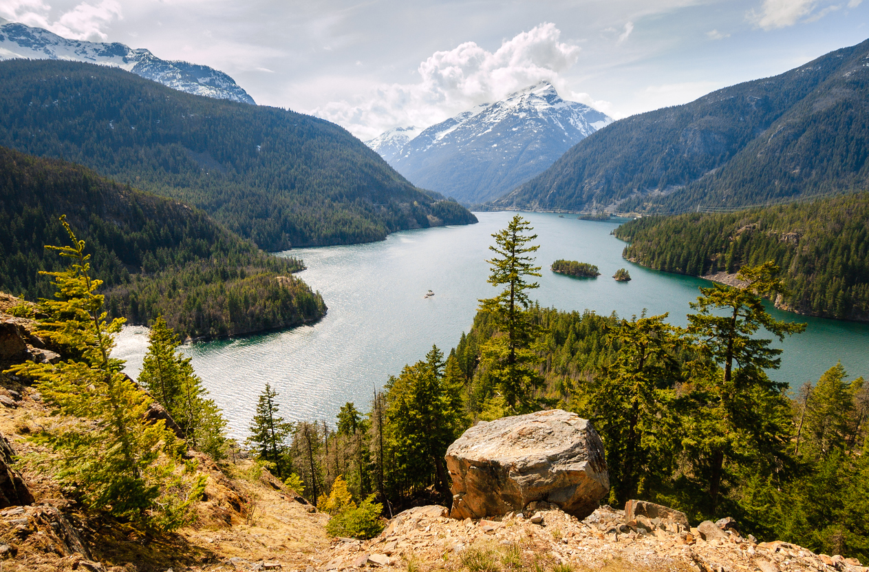 Image of a Pacific Northwest landscape to represent the Northwest MHTTC
