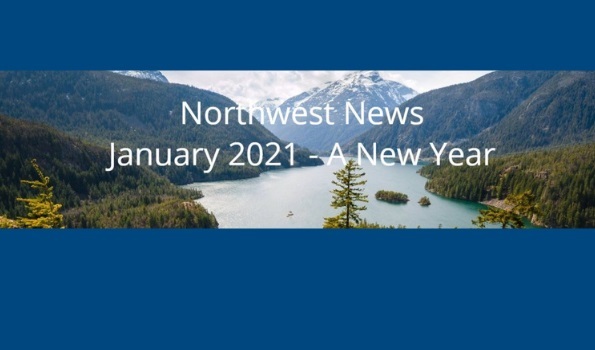 Jan. 2021 core newsletter image