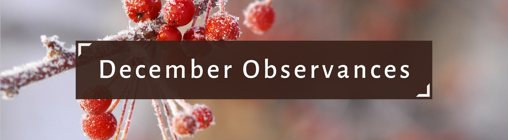 Image of red berries on a branch with the text December Observances