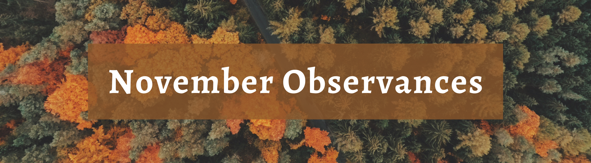Decorative banner with the text: November Observances