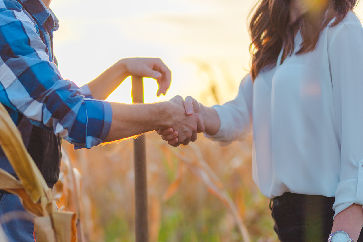 Two people shaking hands in a cornfield