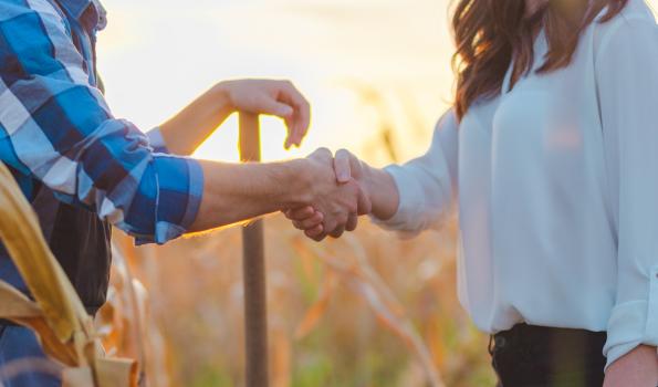 Image of two people shaking hands in front of a corn field. 