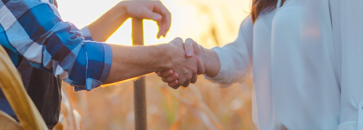 Two people shaking hands in a cornfield
