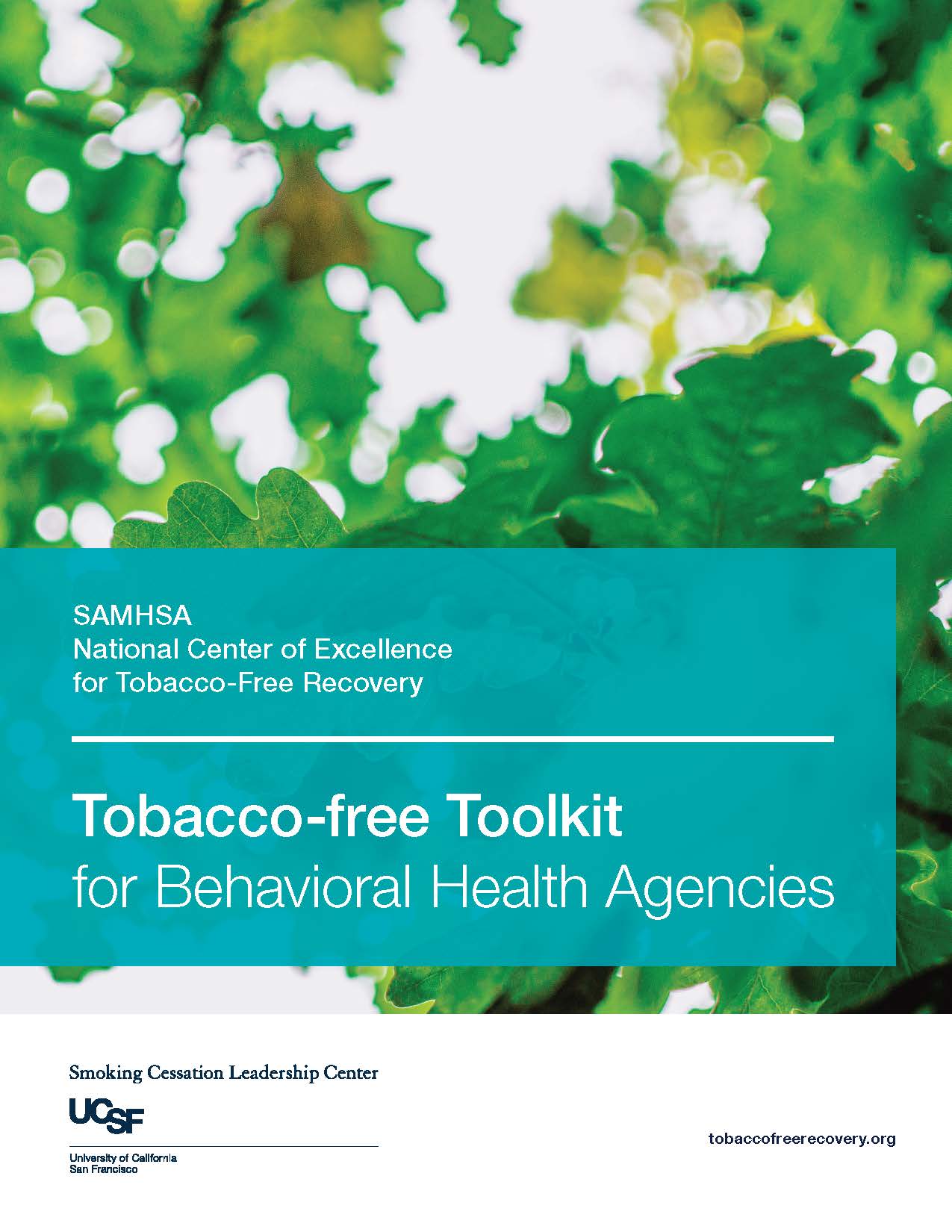 Tobacco-free Toolkit Cover