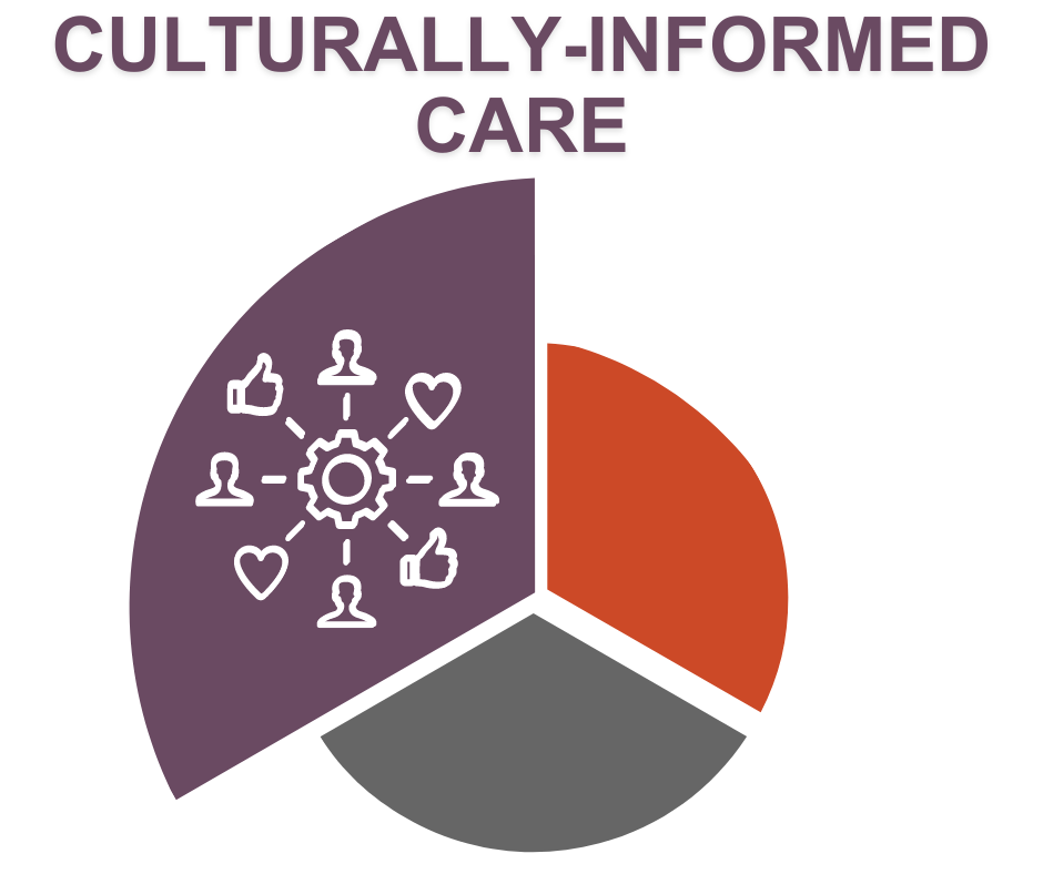 GLMHTTC Areas of Focus: Culturally-Informed Care