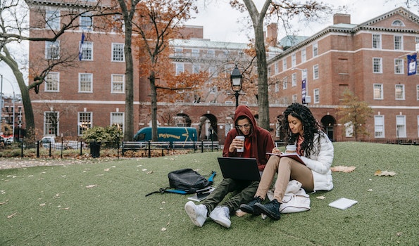 College students studying outside