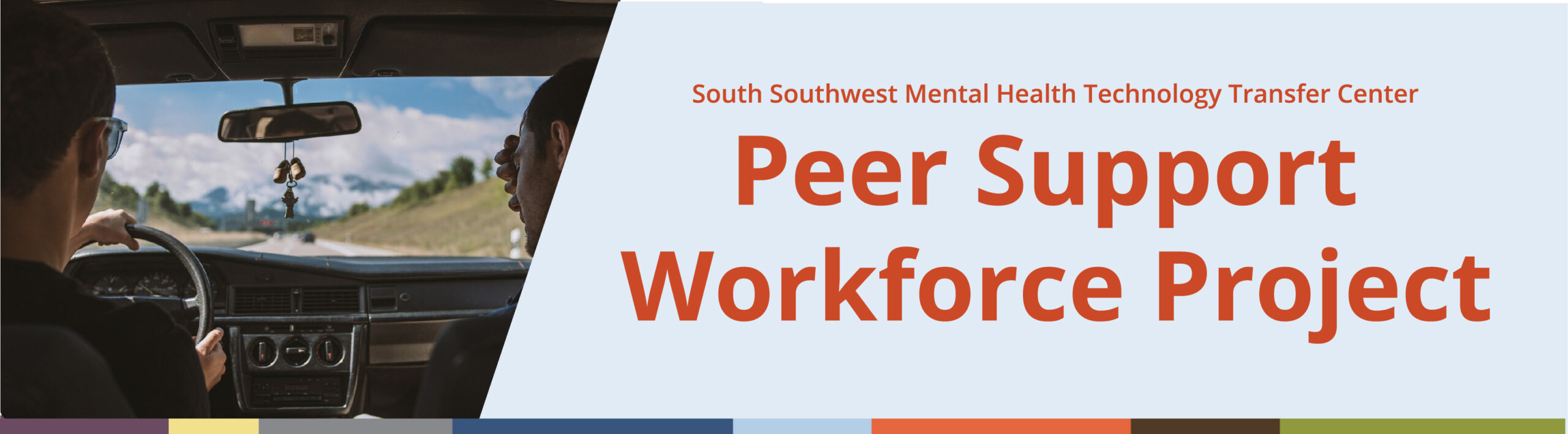 Peer Support Workforce Projects