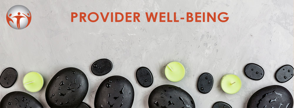 Provider Well Being Supplement