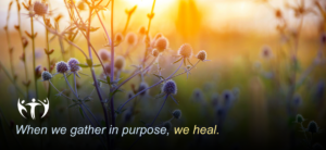 When we gather in purpose, we heal. Warm sunrise backlighting wildflower fields about to bloom.